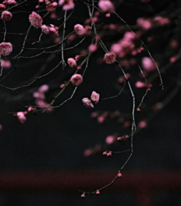 Lire la suite à propos de l’article Lorem ipsum dolor sit